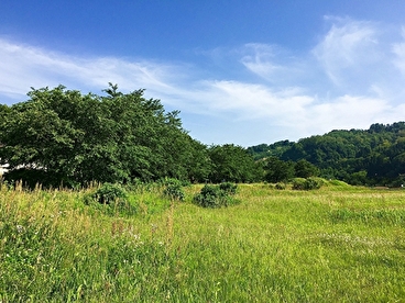 大規模施設の草刈り