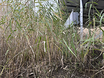 周辺環境や設備に配慮した草刈り