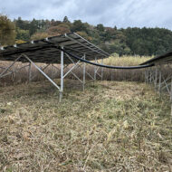 低電圧太陽光発電所（草刈り後の状態）の様子2