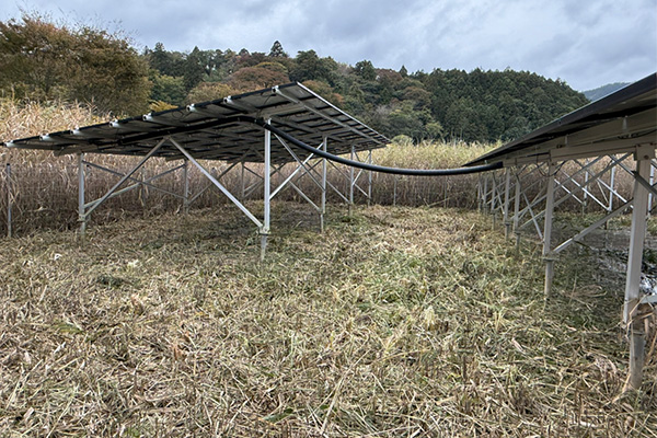 低電圧太陽光発電所(草刈り後の状態)の様子2