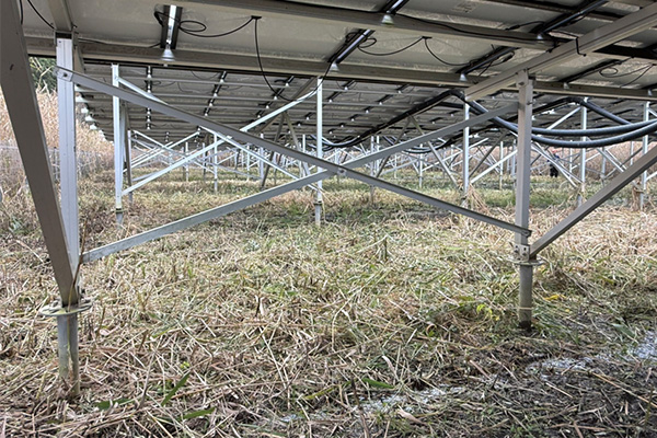 低電圧太陽光発電所(草刈り後の状態)の様子