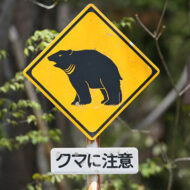クマ注意の看板