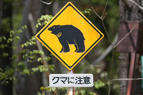クマ注意の看板