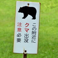 クマ出没注意の看板